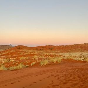 Meet your Posher, Abigail